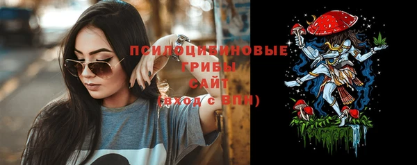 Альфа ПВП Армянск