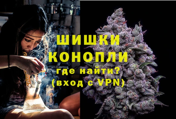 спайс Аркадак